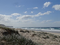 DSC01774