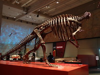 Dinosaurus
