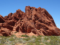 DSC01781