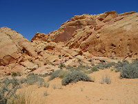 DSC01810