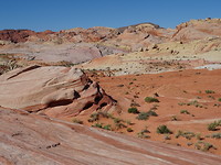DSC01869