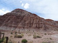 DSC02351