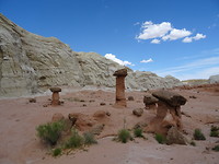 DSC02370