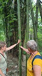 IMG_20230619_101328803