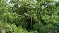 IMG_20230619_100451693_HDR