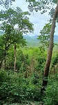 IMG_20230619_095233371_HDR