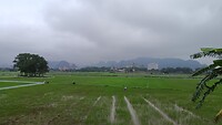 IMG_20250315_091147129