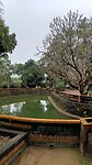 IMG_20250320_085450754_HDR