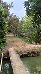 IMG_20250331_131115031_HDR