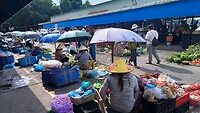 IMG_20250401_084951185_HDR