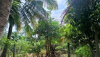 IMG_20250401_101052450_HDR