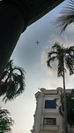 IMAG2629