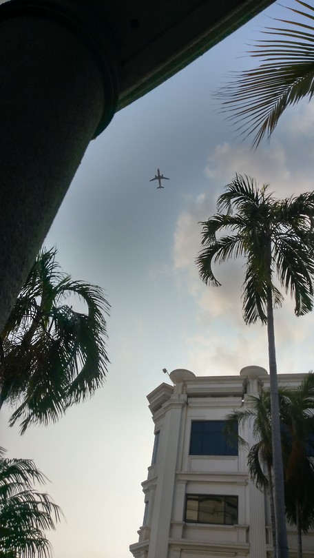 IMAG2629