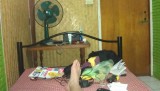 Chang Mai