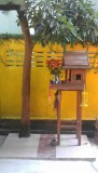 Chang Mai