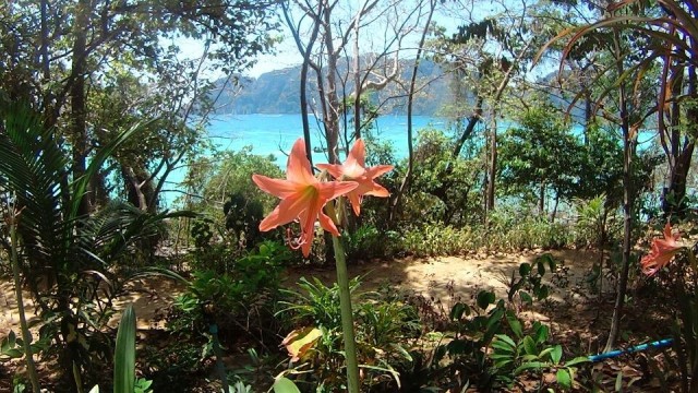 Koh Phi Phi