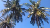 Koh Phi Phi