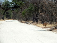 Onderweg