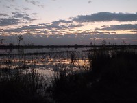 DSCF7598