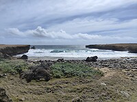 IMG20230702095940