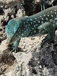 IMG_20230719_221030