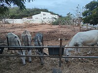 IMG20230715191249