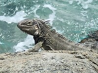 IMG20230713133931