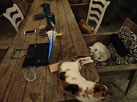 IMG20230712222258