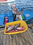 IMG20230711180052