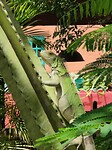 IMG_20230709_225832