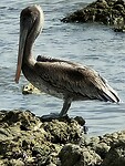 IMG20230708155742