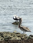 IMG20230708155509
