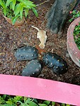 IMG-20230718-WA0002