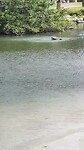 VID_20230708085954