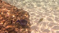 GX010174_1688956377054