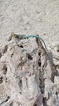 VID20230708153252