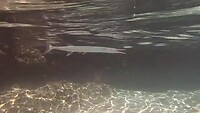GX010184_1688955884123