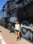 Williams trein
