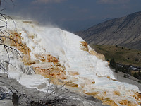 Mammoth hot springs