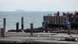 Pier 39