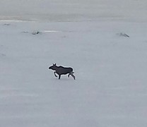 20160317_114313-1