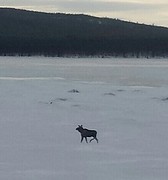 20160317_114317-1-1