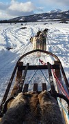 20160317_154318