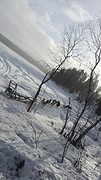 20160317_144659