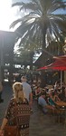 IMG-20191125-WA0009