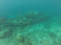 IMG-20191127-WA0036