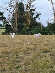 20220609_080728
