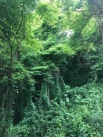 IMG_7693