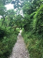 IMG_7694