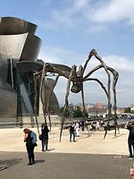 IMG_7730
